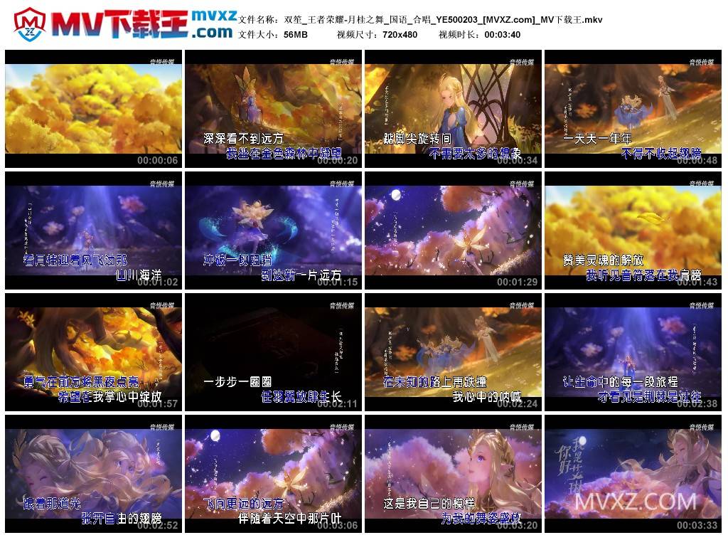 双笙_王者荣耀-月桂之舞_国语_合唱_YE500203